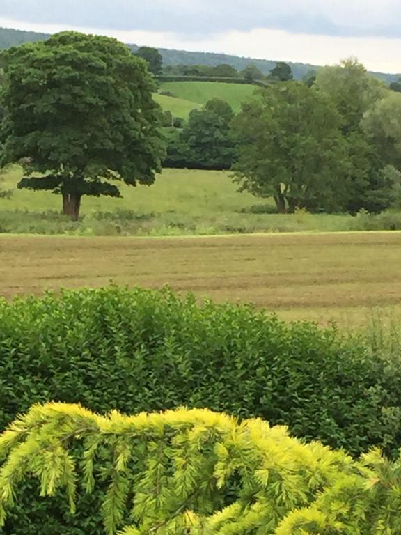 Greyhound Country Inn Honiton Eksteriør bilde